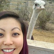 Jennifer Yang's photo