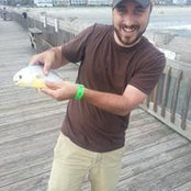 Matt Heard's photo
