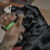 Jodi Allen's photo