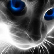 Cindy Reed's photo