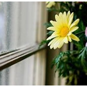 Amber Sliffe's photo