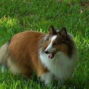 Carol Campbell's photo