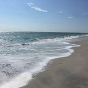 Patrick Anderson's photo
