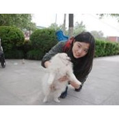 Ye Yoon Ann's photo