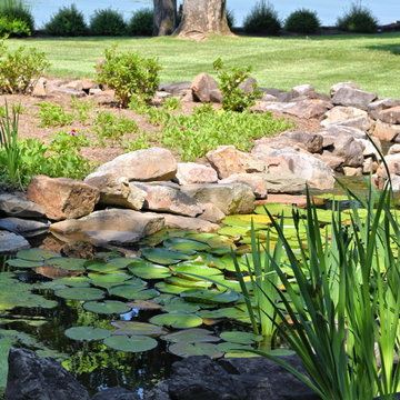 Water Features