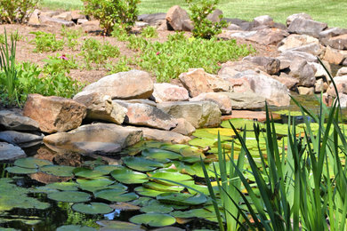 Photo of a landscaping in Other.