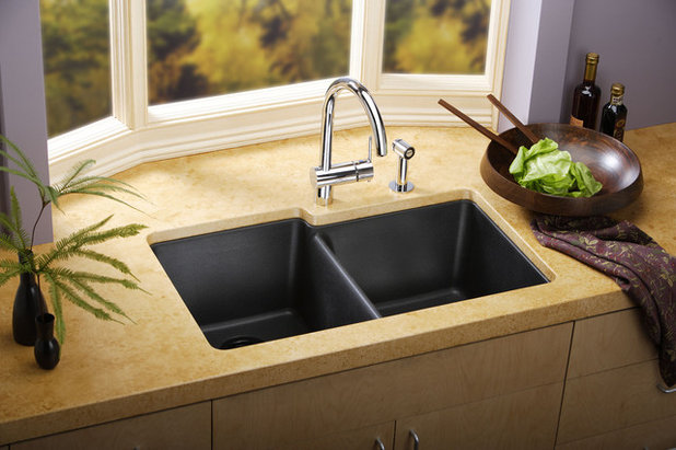 Contemporary Kitchen Sinks by Elkay