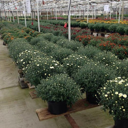 Nursery - Gardening And Lawn Care