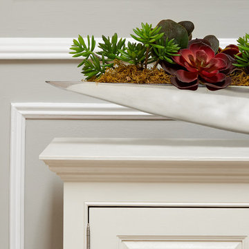 Belle Terre New Traditional: Contemporary Succulent Displah