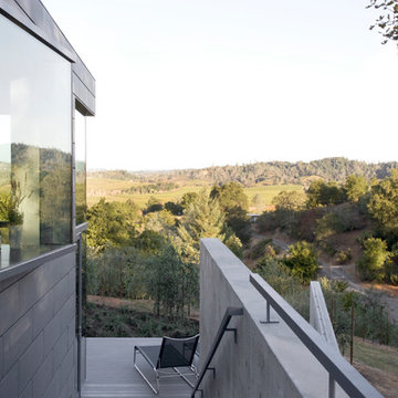 Small House in an Olive Grove