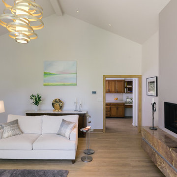 Living Room Remodel in Atlanta