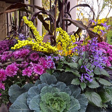 Planters