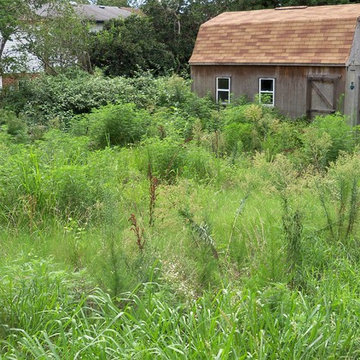 Ugly Yard Contest Winner
