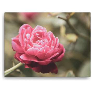 Perfect Petals Colorized Rose, Floral / Botanical / Nature Canvas Print, 18" X 24"
