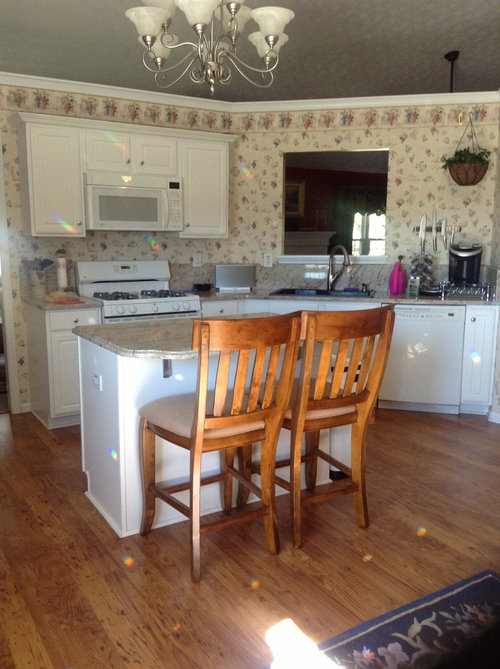 Need help with kitchen What color should I paint them?