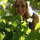 cindy_murphy79
