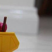 Ming Ng's photo