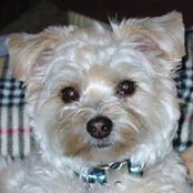 Lynn Jaquez's photo