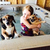 Jason Koshowski's photo