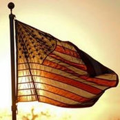 Andrew Brunsting's photo