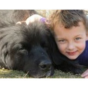 Marla Rosenberg-Bozarth's photo