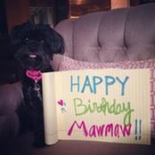 Paula Broussard's photo