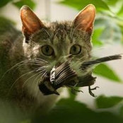 Elena Gamurari's photo