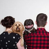 Ollie Spragg's photo