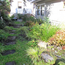 rain garden