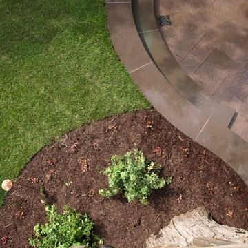 Burns Project