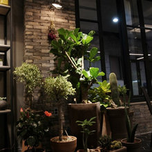 1204 Interior