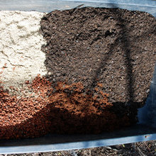 vegetable gardening michigan