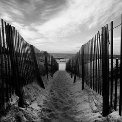 Fine Art Decor_Landscape - Artwork
