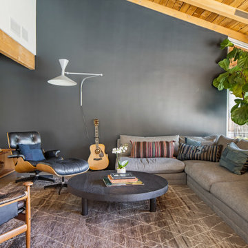San Ysidro Mid Century Modern