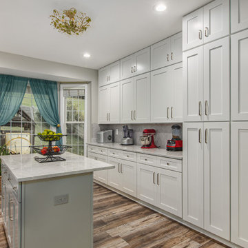 Dale City Transitional Kitchen #771