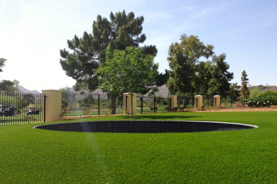 Design ideas for a traditional backyard landscaping in Phoenix.