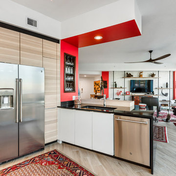 Orlando Contemporary Whole House