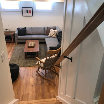 Basement Rec room