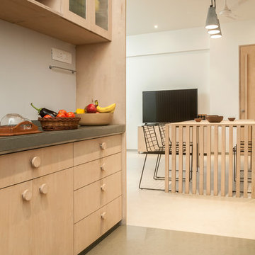 Birch Ply House