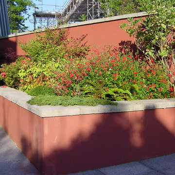 Japanese Style Garden- Sevenoaks