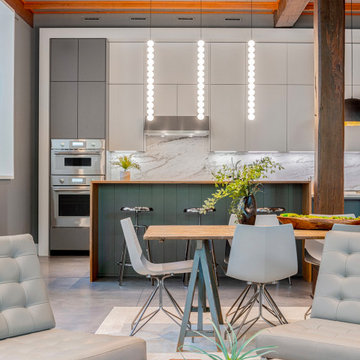 Modern Loft Kitchens in Cambridge, MA
