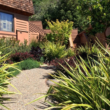 San Rafael Hillside renovation