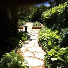 Landscape Ideas