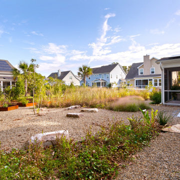 Modern Meadow Garden