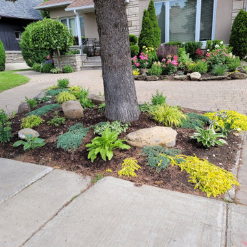 A Shade Garden Under a Tree