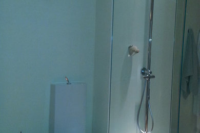 Expose shower system/modern toilet.