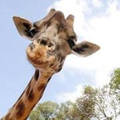 Kesia Knowles's photo