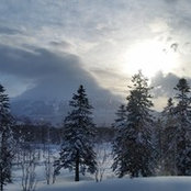 Raymond Campbell's photo