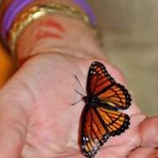 Liesl Slocumb's photo