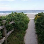 Dorothy Osterhout's photo